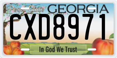 GA license plate CXD8971
