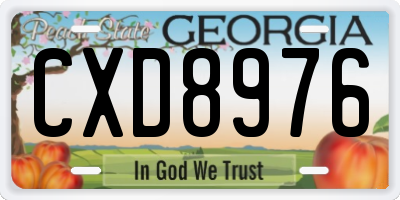 GA license plate CXD8976