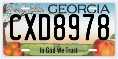 GA license plate CXD8978