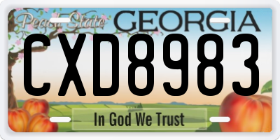 GA license plate CXD8983