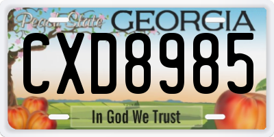 GA license plate CXD8985