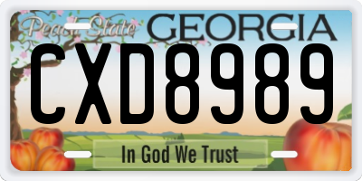 GA license plate CXD8989