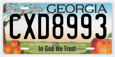 GA license plate CXD8993