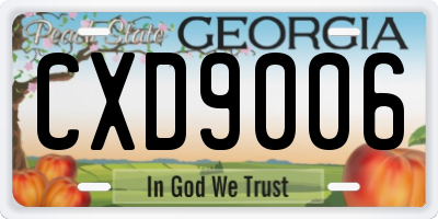 GA license plate CXD9006