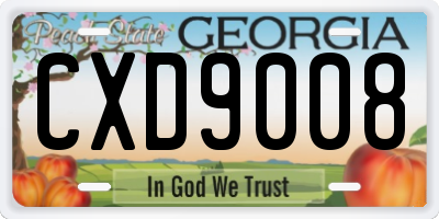GA license plate CXD9008