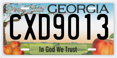 GA license plate CXD9013