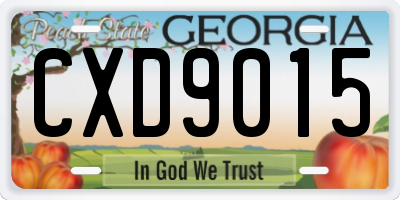 GA license plate CXD9015