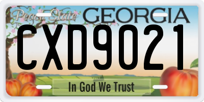 GA license plate CXD9021