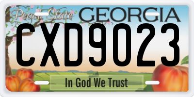GA license plate CXD9023