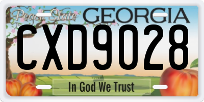 GA license plate CXD9028