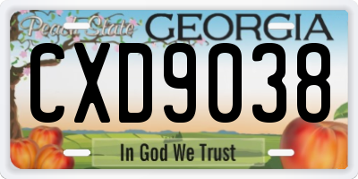 GA license plate CXD9038
