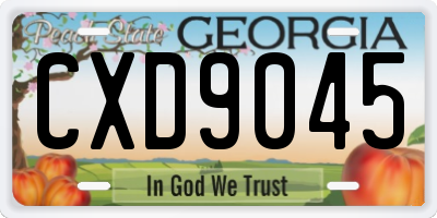 GA license plate CXD9045