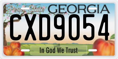 GA license plate CXD9054