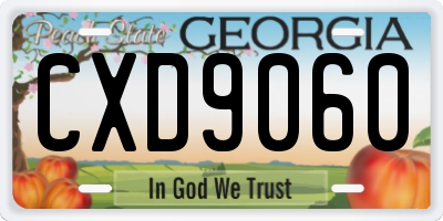 GA license plate CXD9060