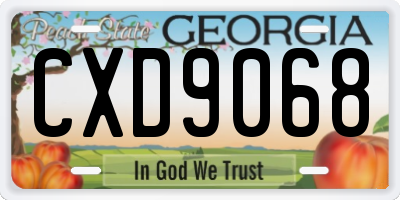 GA license plate CXD9068