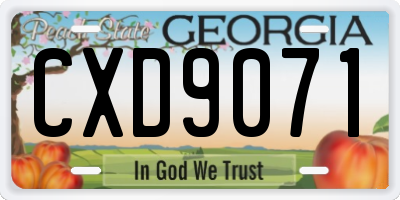 GA license plate CXD9071