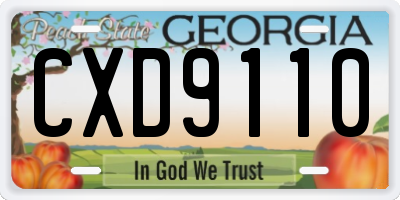 GA license plate CXD9110