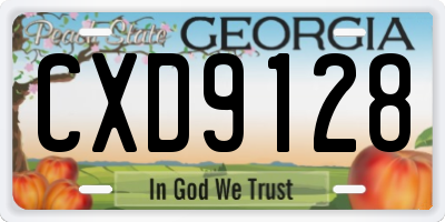 GA license plate CXD9128