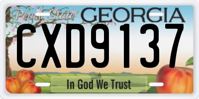 GA license plate CXD9137