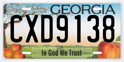 GA license plate CXD9138