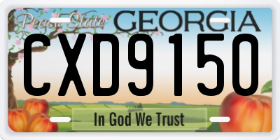 GA license plate CXD9150