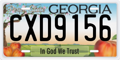GA license plate CXD9156