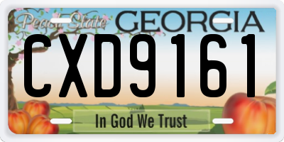 GA license plate CXD9161