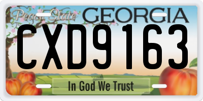 GA license plate CXD9163