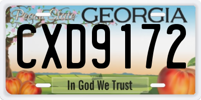GA license plate CXD9172