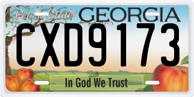 GA license plate CXD9173