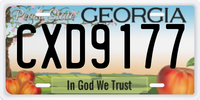 GA license plate CXD9177
