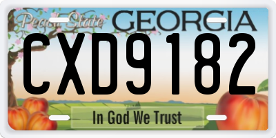 GA license plate CXD9182