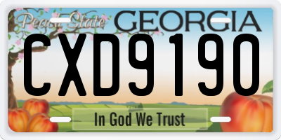 GA license plate CXD9190