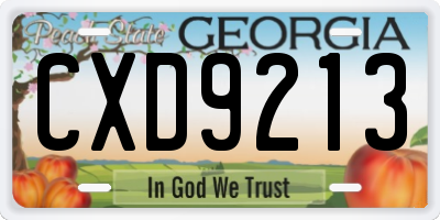 GA license plate CXD9213