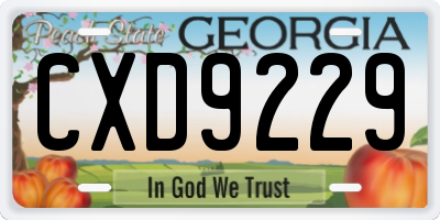 GA license plate CXD9229
