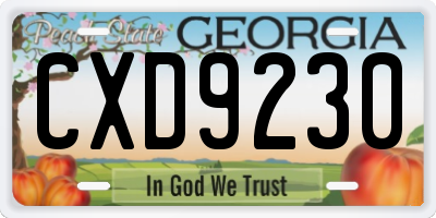 GA license plate CXD9230