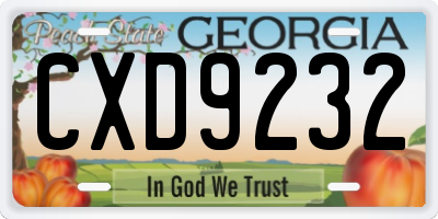 GA license plate CXD9232