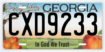 GA license plate CXD9233