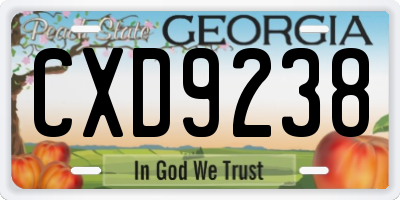 GA license plate CXD9238