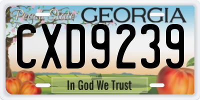 GA license plate CXD9239