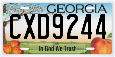 GA license plate CXD9244