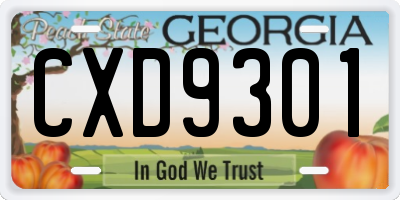 GA license plate CXD9301