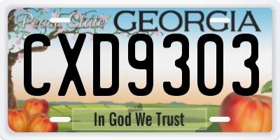 GA license plate CXD9303