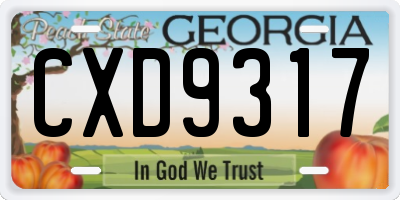 GA license plate CXD9317