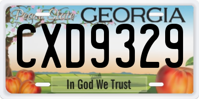 GA license plate CXD9329