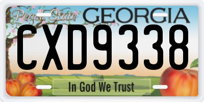 GA license plate CXD9338