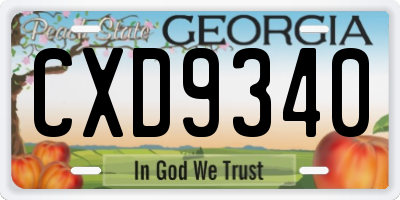 GA license plate CXD9340