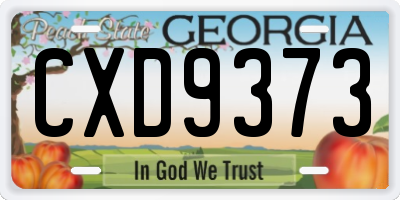 GA license plate CXD9373