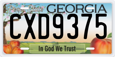 GA license plate CXD9375