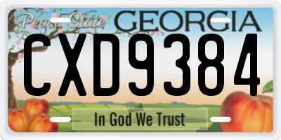 GA license plate CXD9384